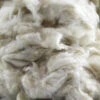 Kapok Fiber