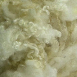 Scoured Bluefaced Leicester Fleece