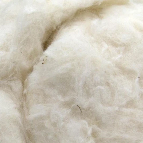 Ginned Egyptian Cotton Fiber 1 Ginned Egyptian Cotton Fiber
