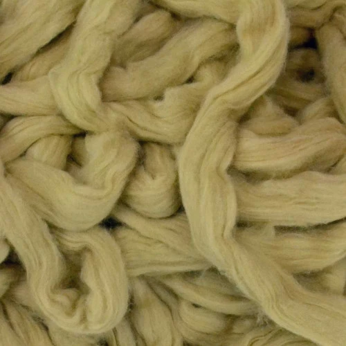 Natural Green Cotton Sliver 1 Natural Green Cotton Sliver