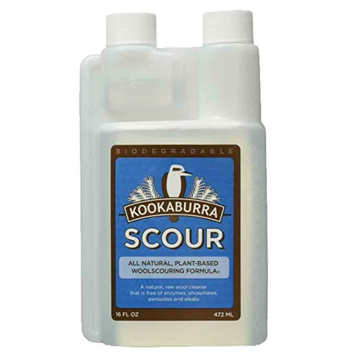 Kookaburra Scour 1 Kookaburra Scour