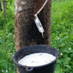 Saddle Seat Stool -BEKA Store rubber tree tapping square 11105.1543861201